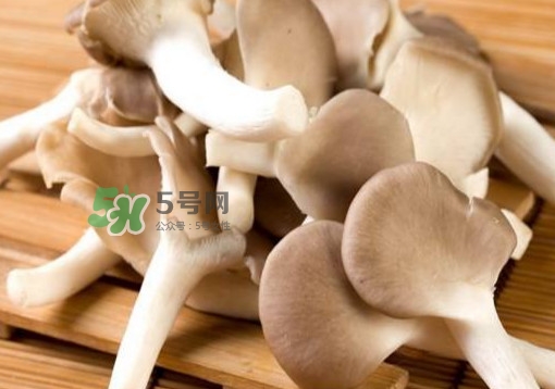 秀珍菇一畝地能種植多少包？秀珍菇如何出菇管理