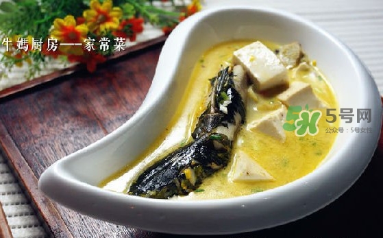 黃刺魚(yú)怎么殺？黃刺魚(yú)怎么處理