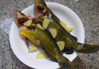 黃刺魚(yú)幾月份最好釣？黃刺魚(yú)怎么釣