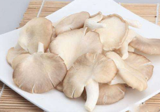 秀珍菇孕婦可以吃嗎？孕婦能吃秀珍菇嗎
