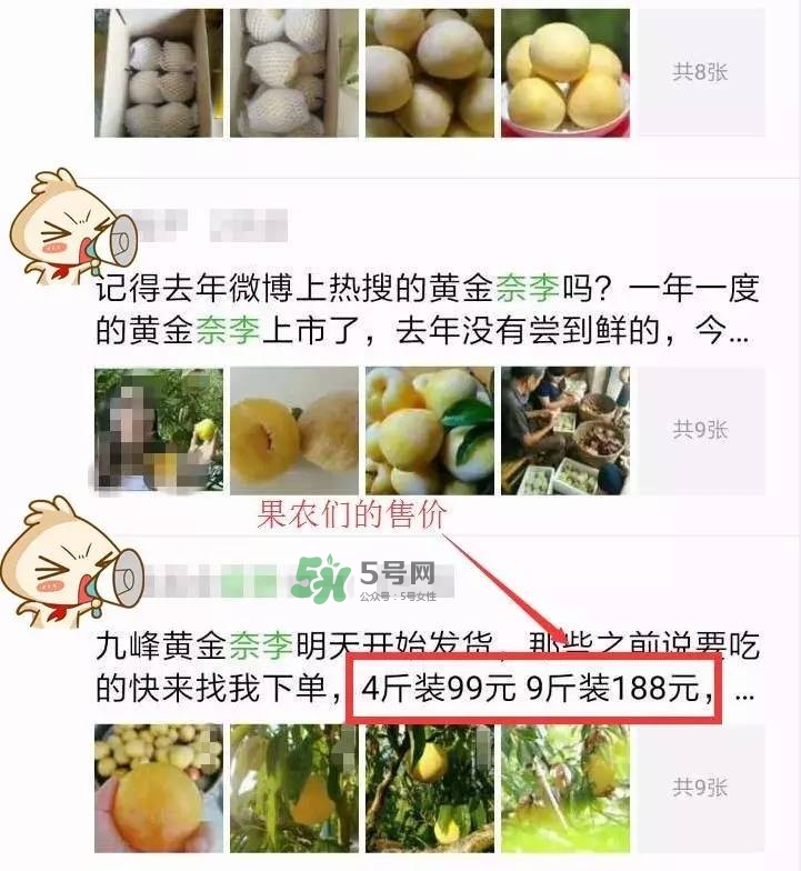 黃金奈李多少錢(qián)一斤？黃金奈李價(jià)格
