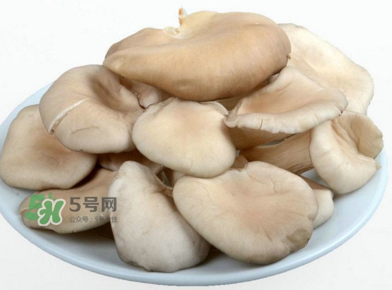 秀珍菇孕婦可以吃嗎？孕婦能吃秀珍菇嗎