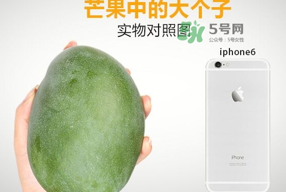 凱特芒果多少錢一斤？凱特芒果價(jià)格