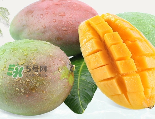 凱特芒果什么時(shí)候上市？凱特芒果上市時(shí)間