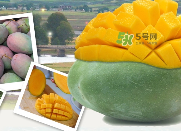 凱特芒果什么時(shí)候上市？凱特芒果上市時(shí)間
