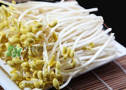 豆芽有根好還是無(wú)根好？無(wú)根豆芽與有根豆芽區(qū)別