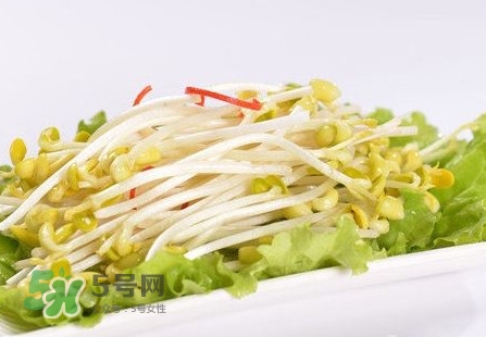 豆芽怎么保存？新鮮豆芽放冰箱能放幾天？