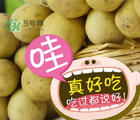 龍宮果孕婦可以吃嗎？懷孕可以吃龍功果嗎