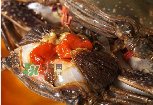 梭子蟹有蟹黃嗎？梭子蟹蟹黃在哪里？