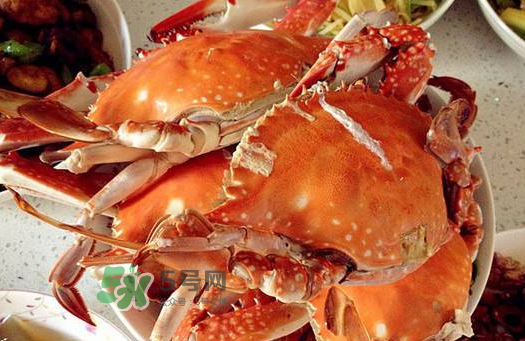 梭子蟹為什么沒(méi)有蟹黃？梭子蟹蟹黃能吃嗎？