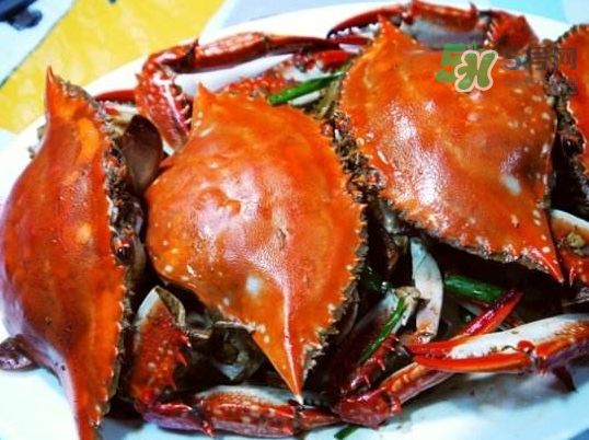 梭子蟹可以煮嗎？梭子蟹怎么煮？