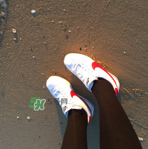 nike cortez jewel皮革版多少錢？耐克阿甘鞋皮革款價(jià)格