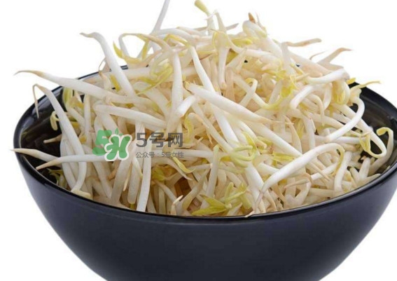 豆芽什么季節(jié)吃？豆芽什么時候有