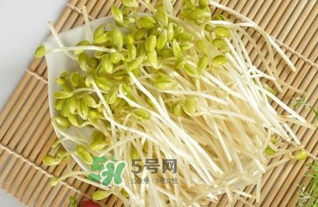 豆芽有根好還是無根好？無根豆芽與有根豆芽區(qū)別