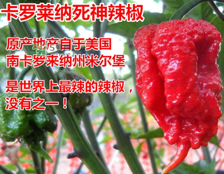 死神辣條哪兒有賣？哪里可以買到死神辣條