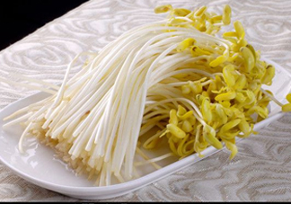 豆芽有綠葉還能吃嗎？豆芽有點爛了還能吃嗎