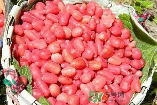 杈杷果多少錢一斤？杈杷果價(jià)格表