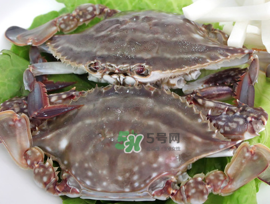 梭子蟹為什么這么貴？梭子蟹和大閘蟹哪個(gè)貴？