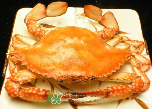 飛蟹什么時候最肥？飛蟹幾月份最肥？