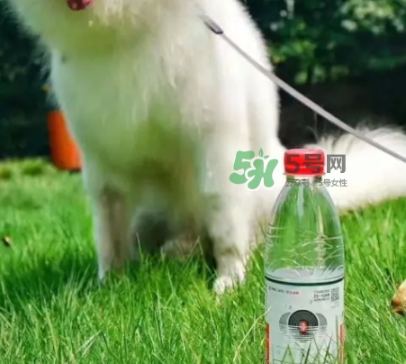 網(wǎng)易云音樂農(nóng)夫山泉樂瓶怎么玩？云音樂農(nóng)夫山泉玩法