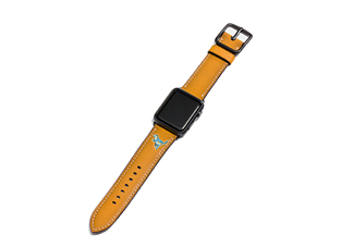 coach apple watch恐龍表帶多少錢？蔻馳蘋果手表恐龍表帶價格