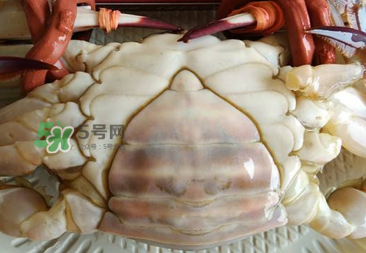 飛蟹多少錢一斤？飛蟹多少錢一斤2017？