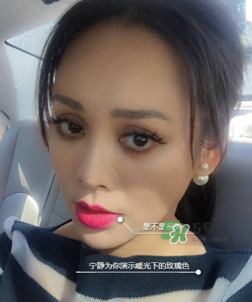 ysl208是什么顏色？ysl208適合黃皮嗎？