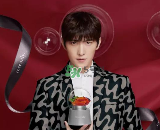 roseonly音樂盒多少錢？roseonly音樂盒歌曲名