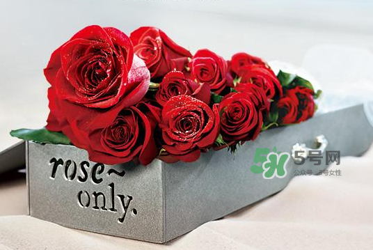 roseonly永生花可以保存多久？roseonly永生花保養(yǎng)