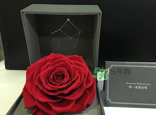 roseonly永生花可以保存多久？roseonly永生花保養(yǎng)