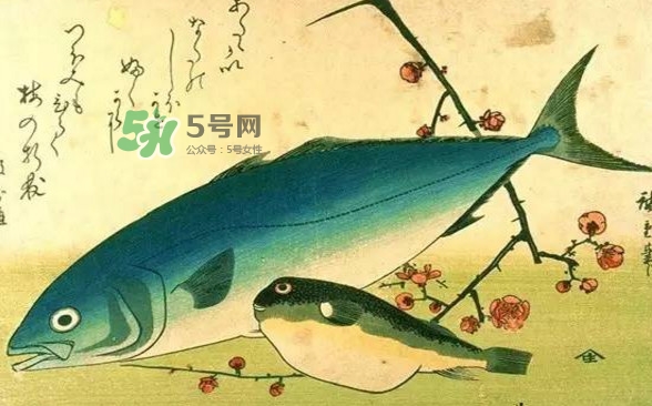 河鲀可以養(yǎng)嗎？河鲀有毒為什么還要吃