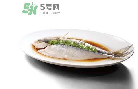 鰣魚還有嗎？長江鰣魚滅絕了嗎