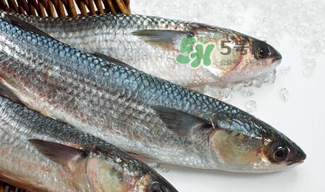 鰣魚多少錢一斤？長(zhǎng)江鰣魚多少錢一斤2017