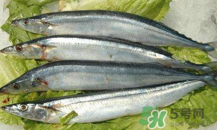 鰣魚和刀魚哪個貴？長江三鮮哪個最貴