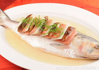 為什么吃清蒸海鰣魚都是半條？鰣魚有什么營養(yǎng)價值