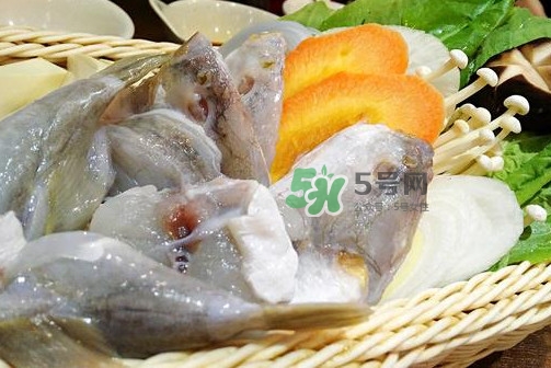 河豚可以當(dāng)寵物養(yǎng)嗎？河豚可以用淡水養(yǎng)嗎