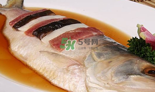 鰣魚多少錢一斤？長(zhǎng)江鰣魚多少錢一斤2017