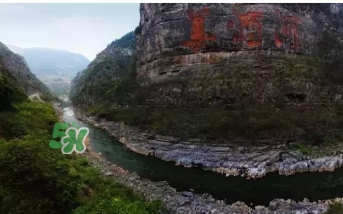 茅臺酒為什么那么貴？茅臺酒為什么這么貴