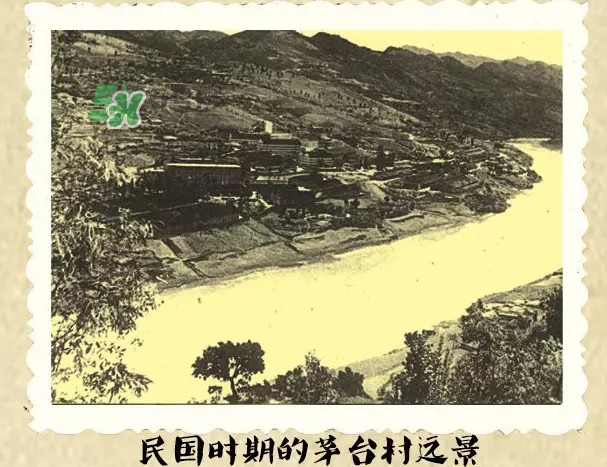 茅臺酒為什么那么貴？茅臺酒為什么這么貴