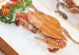?花蟹可以放冰箱嗎？花蟹怎么保存才新鮮？