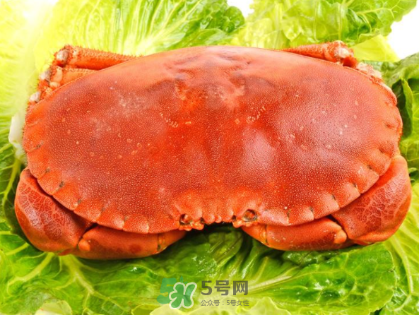 面包蟹和帝王蟹哪個(gè)好吃？面包蟹好吃還是帝王蟹好吃？
