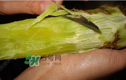 青筍怎么處理？青筍怎么切成菱形