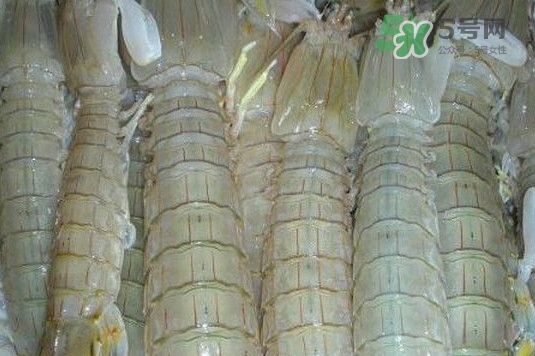 蝦蛄怎么讀？蝦蛄多少錢一斤