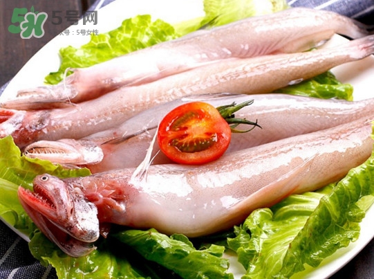 龍頭魚是海魚嗎？龍頭魚是海鮮嗎