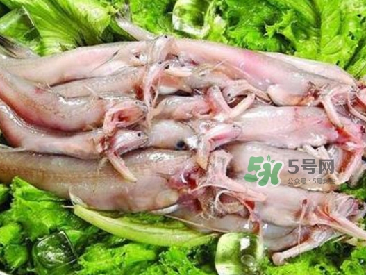 龍頭魚還有別的名嗎？龍頭魚有哪幾種做法