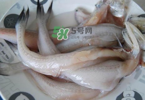 龍頭魚怎么殺？龍頭魚怎么處理？