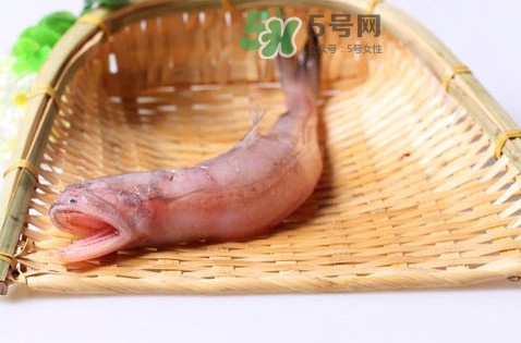 龍頭魚身是什么神獸？龍頭魚身是什么寓意