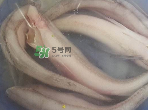 買(mǎi)龍頭魚(yú)怎么挑選？冰凍龍頭魚(yú)怎么去內(nèi)臟