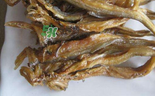 水潺湯怎么做？水潺燉豆腐的做法