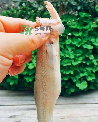 水潺怎么讀？水潺是海鮮嗎